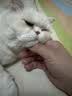 福丸自然空气玉米豆腐猫砂除臭低尘可冲厕所 玉米淡香 2.5kg*4包 实拍图