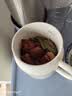 JIEXG养生壶 热牛奶杯 养生杯 煮茶花茶银耳静音 热牛奶神器烧水壶办公室烧水杯 热奶杯 0.8L 【升级容量】多功能炖煮 实拍图