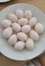 都丰年（DUFENGNIAN）鸽子蛋20枚共400g 鲜鸽子蛋 源头直发 杂粮喂养 孕妇宝宝放心吃 实拍图