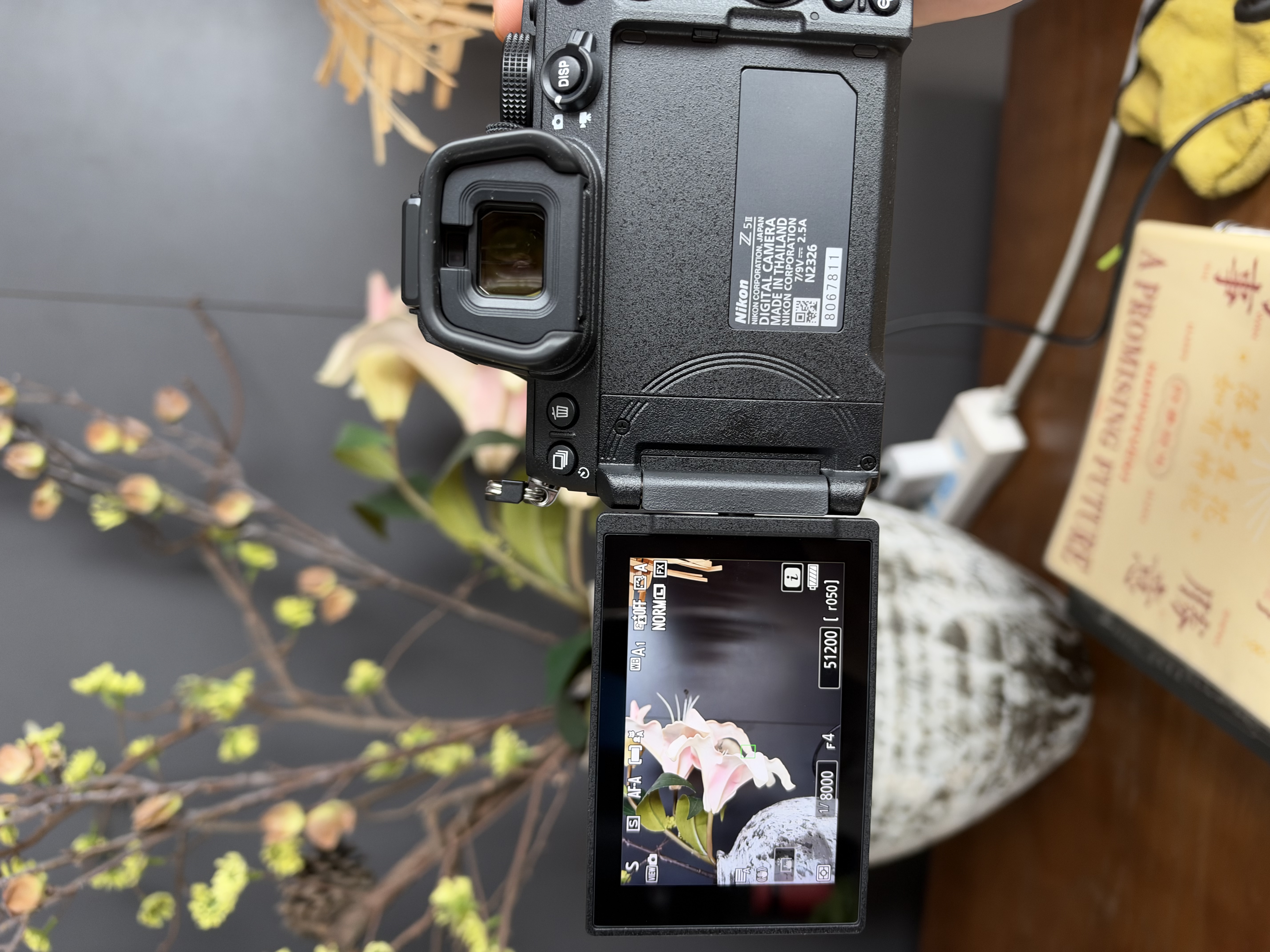 尼康（Nikon）Z卡口镜头 尼克尔 尼康Z系列微单相机镜头 Z 24-120mm F4 S 多功能镜头 官方标配 实拍图