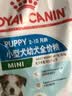 皇家狗粮幼犬成长礼盒（幼犬粮 800g+成犬粮 50g*5）小型犬 泰迪 贵宾 实拍图