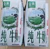 伊利【新鲜日期】金典纯牛奶200ml*24盒3.6g乳蛋白礼盒装 实拍图