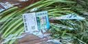 有机蒿子秆300g       实拍图