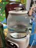 美的（Midea）养生壶全玻璃0胶水全自动家用多功能恒温水壶辅食机泡奶机 烧水壶电热水壶煮茶器1L MK-YS10B101 实拍图