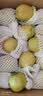 京鲜生 新疆库尔勒香梨 净重10斤装 特级 单果120g+ 新鲜水果 实拍图