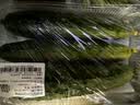 【水果菜】东北旱黄瓜约550g 实拍图