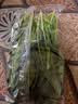 大菠菜300g 实拍图