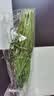 七鲜24小时绿色韭菜 250g 实拍图