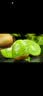 佳沛（zespri）新西兰金奇异果12粒特大果124-146g猕猴桃水果礼盒 实拍图