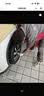 固特异（Goodyear）汽车轮胎 235/55R18 104W 鹰驰F1酷跑 智跑探岳/途观L 御乘升级 实拍图