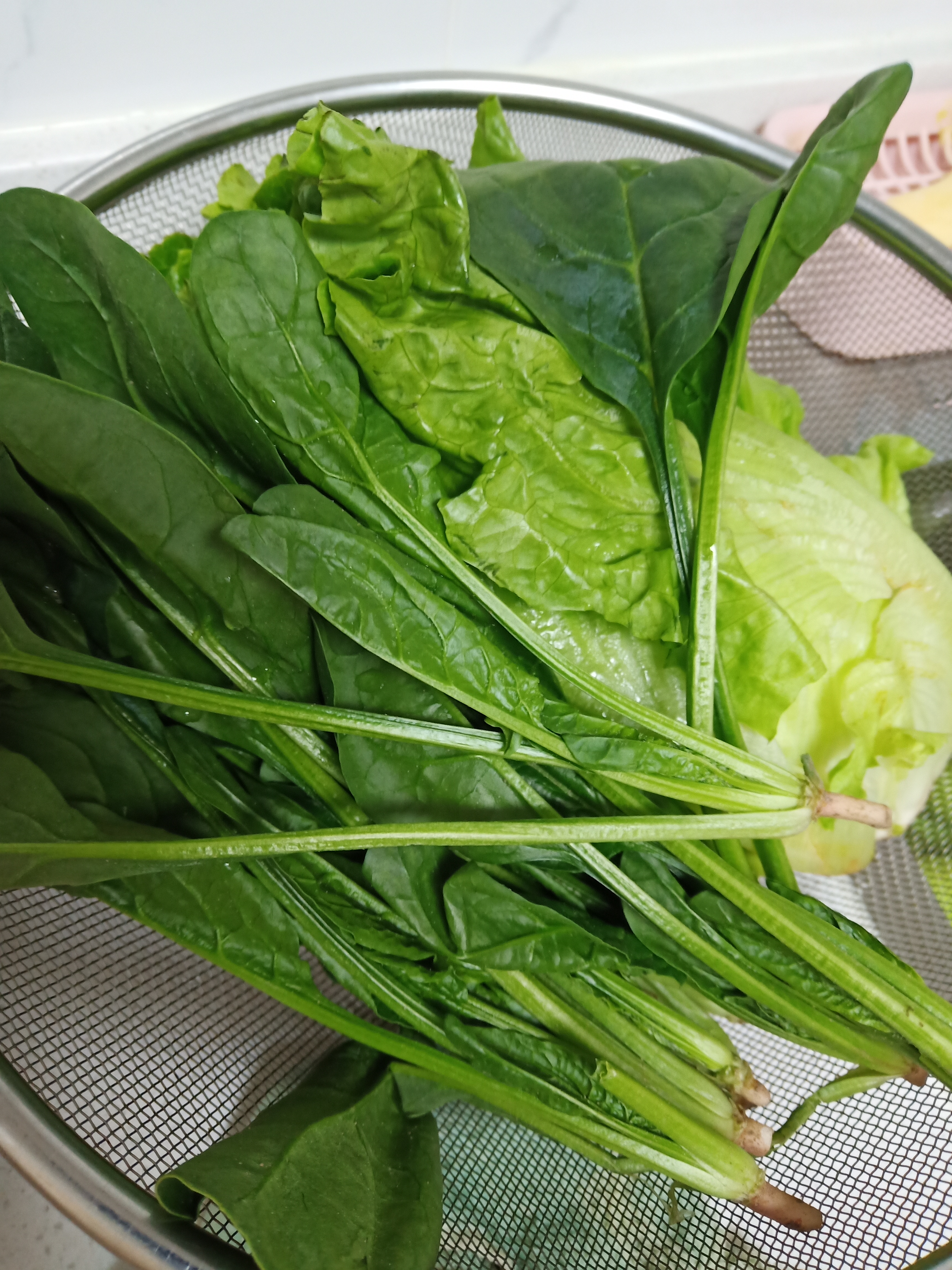 【24小时菜】菠菜苗250g(长度≤20cm) 实拍图