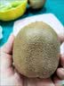 佳沛（zespri）新西兰金奇异果22粒巨大原箱146-175g猕猴桃水果礼盒 实拍图