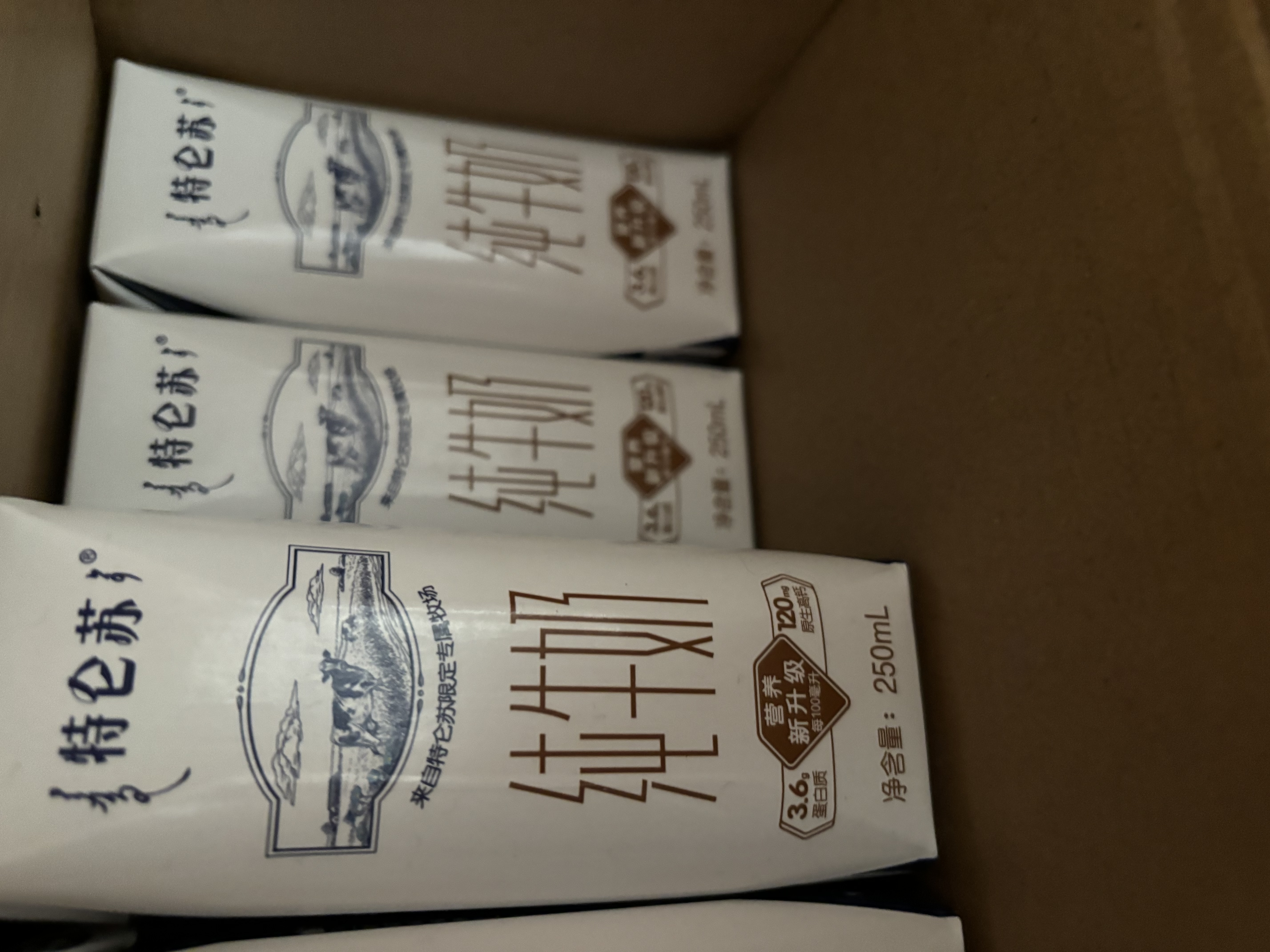 蒙牛特仑苏纯牛奶全脂灭菌乳利乐钻250ml*16盒*2箱 送礼优选 实拍图