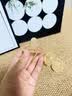 世喜安抚奶嘴6-9个月以上防龅牙胀气1-3岁夜用扁头婴儿宝宝超轻air款 实拍图