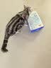 LEGENDSANDY蓝氏 全价猫粮成猫幼猫生骨肉冻干粮 猎鸟乳鸽系列兔肉口味1.5kg 实拍图