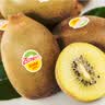 佳沛（zespri）新西兰金奇异果10个装单果重103-114g猕猴桃水果礼盒 实拍图