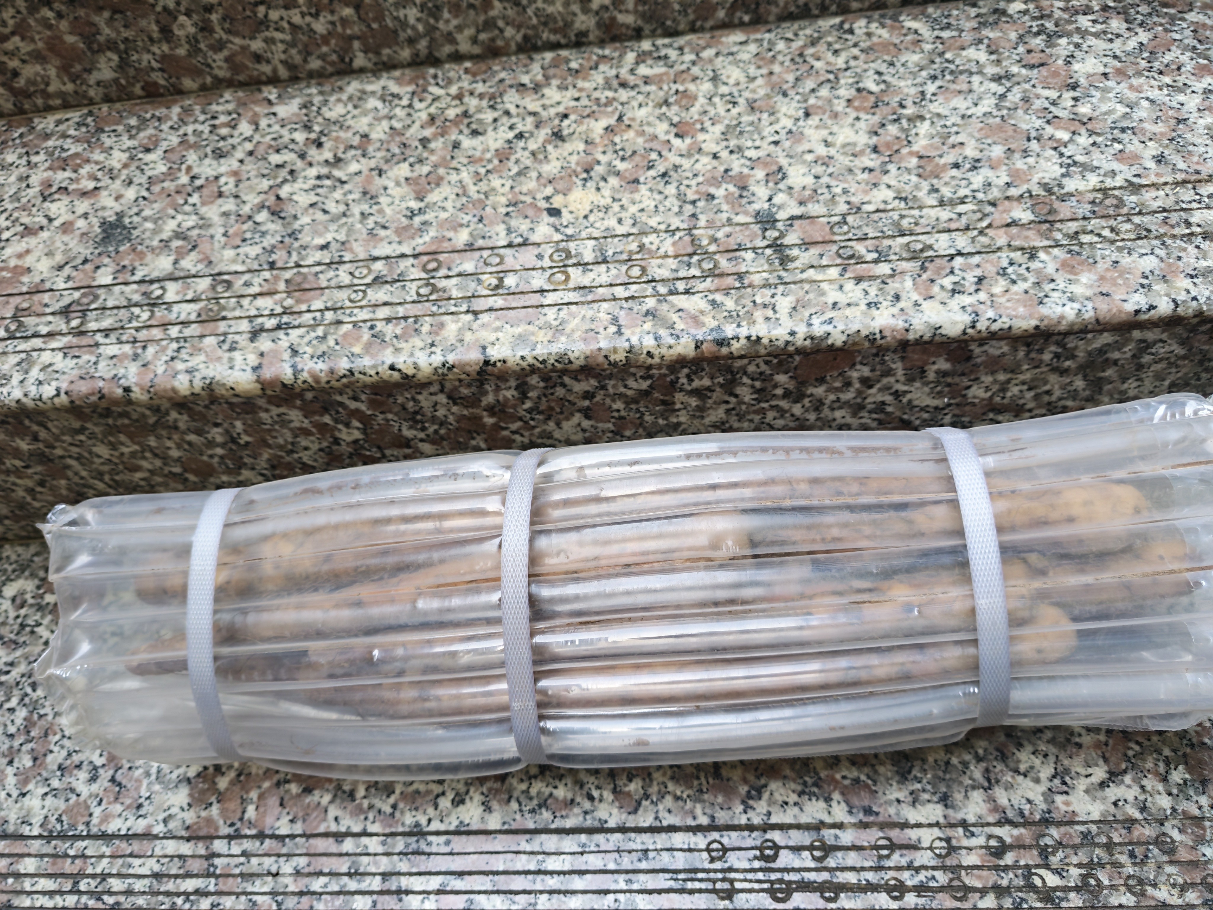 鲜铁棍山药 铁杆淮山药 河南焦作怀府特产铁棍怀山药 净重5斤 实拍图