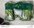 【烧烤季】钟灵山罗马生菜400g 实拍图