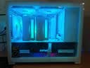 利民（thermalright）TL-C12CW-S X3 白色argb12cm机箱幻彩低噪风扇ARGB 4PIN PWM 1550转速 三连包 实拍图