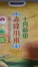 十月稻田 赤峰小米 5斤 内蒙古敖汉 小米黄小米 杂粮米 早餐小米粥 实拍图