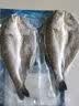 1号会员店（One's Member）零添加保水剂白蕉三去海鲈鱼 净重1000g(500g*2) 海鲜水产鱼类  实拍图