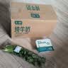 【火锅季】带根香菜100g 实拍图