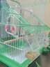 凡佰酷虎皮鹦鹉鸟笼绣眼牡丹文鸟大号别墅小号鸟笼子金属房顶造型观赏笼-定制 W108中号鸟笼标配【颜色留言】 实拍图