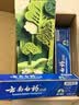 云南白药益生菌热门牙膏套装清新口气去口臭护龈牙膏6支500g+环保购物袋 实拍图