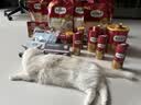 弗列加特全价鲜肉烘焙猫粮 磷虾油美毛 鲜鸡肉配方1.5kg 实拍图