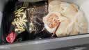 思念嵊州黑猪肉老面小笼包1.6斤32个 手工肉包儿童早餐半成品送礼 实拍图