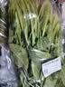 大菠菜300g 实拍图