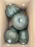 京鲜生 贝贝南瓜 净4.5斤(粉糯瓜) 中果200g+辅食蔬菜 源头直发 实拍图