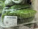【水果菜】东北旱黄瓜约550g 实拍图
