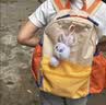 SHUKIKU儿童书包幼儿园背包防丢失轻便防泼水大容量户外旅游橘子汽水S+码 实拍图