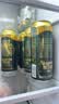 青岛啤酒（TsingTao）奥古特500ml*18罐 整箱装 实拍图