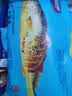 海名威 冷冻黄花鱼700g/2条装 宁德大黄鱼 海鱼 生鲜鱼类 海鲜水产 实拍图