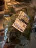 有机土豆 500g（轻微带泥） 实拍图