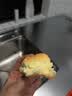 长帝（changdi）2026年新品电烤箱家用专业烘焙搪瓷内胆多功能大容量发酵一体机侧风机上色均匀小馋猫pro双11礼物 实拍图