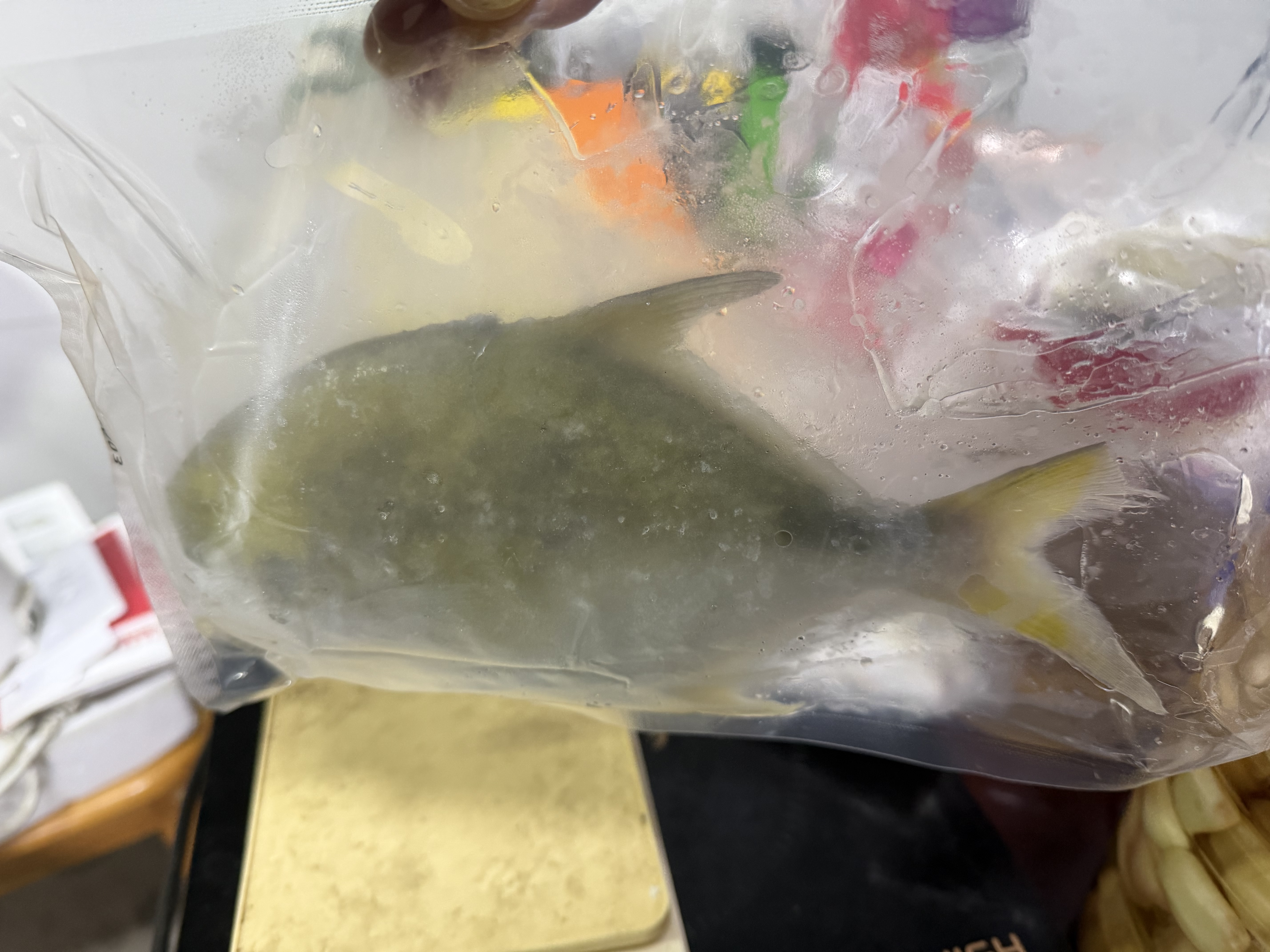 恒兴食品原条金鲳鱼净重2斤/4条装BAP认证海鲜送礼纯鱼肉聚餐送礼 实拍图