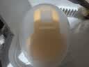 美德乐（Medela）吸奶器电动吸奶器双边吸乳器母乳集奶器挤奶器丝韵·翼舒悦免手扶 实拍图