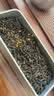 茶半春桂花红茶 2026新茶红茶桂花金骏眉蜜香浓香型茶叶盒装100g 实拍图