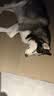 维克（Virbac）耳漂滴耳液狗狗猫咪预防耳螨清洁耳道洗耳液犬猫耳部清洁宠物滴耳液 60ml 实拍图