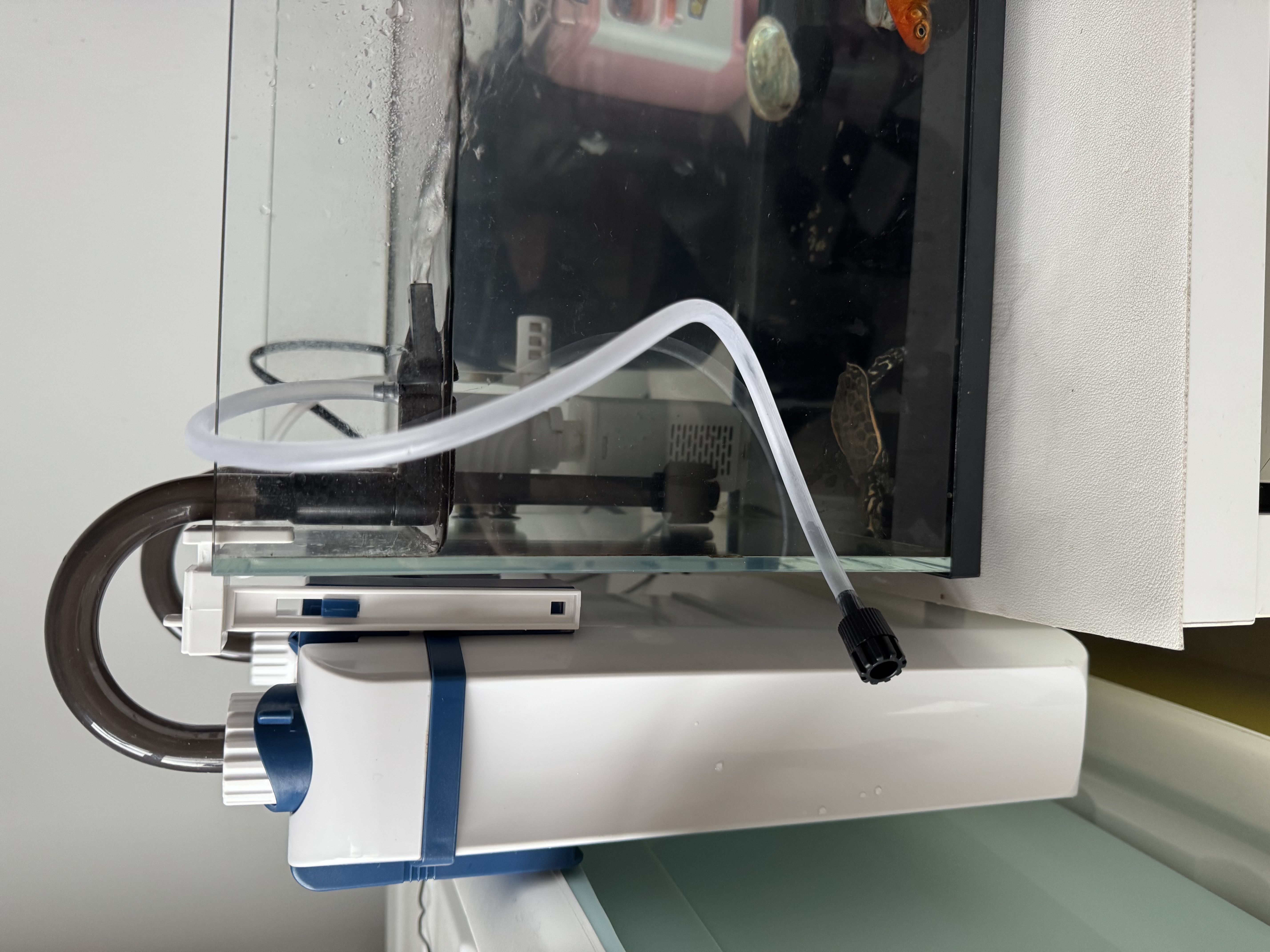 森森耀蓝鱼缸过滤器壁挂式抽水泵外置小型过滤桶YBG-600 7W 实拍图