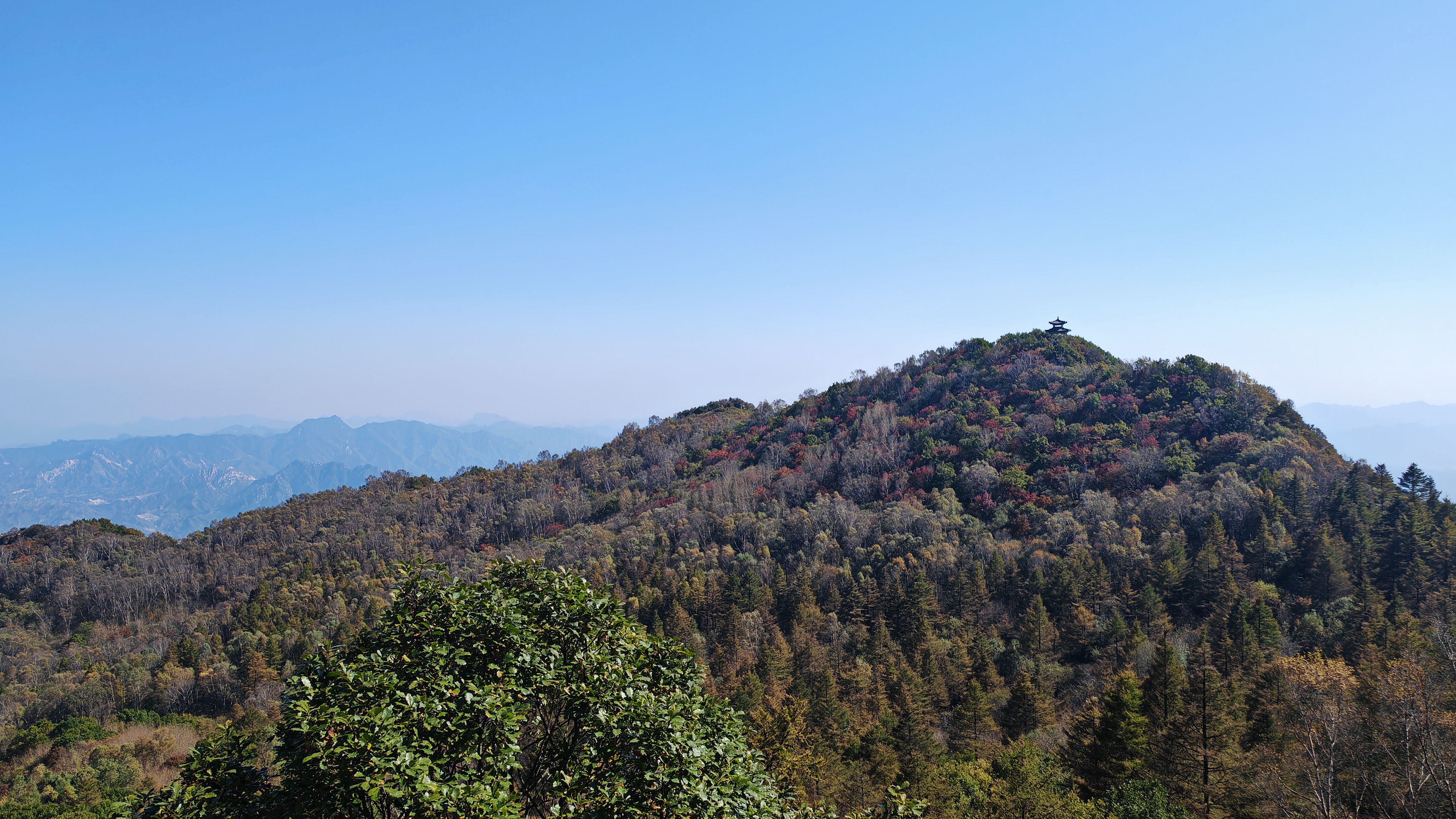 迪卡侬双肩背包MH100户外旅行登山包徒步背包轻量化大容量7升-5475407 实拍图