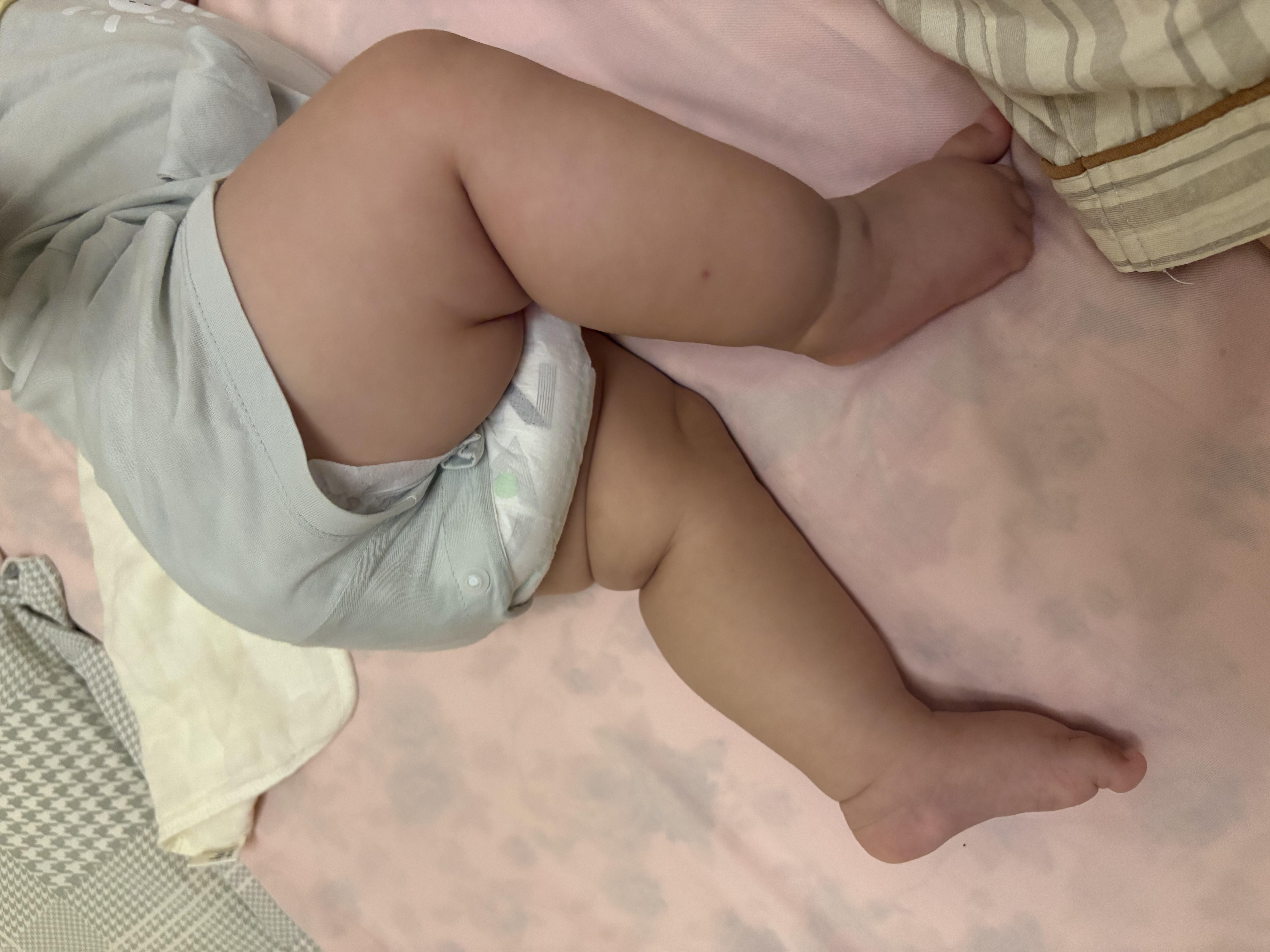 飞鹤星飞帆卓睿1段幼儿配方奶粉(0-6月)750g乳铁蛋白7种HMO高量益生菌 实拍图