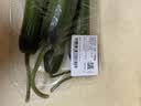 【水果菜】荷兰水果黄瓜约400g 实拍图