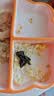 爱贝迪拉（AIBEDILA）宝宝硅胶餐盘分格儿童餐盘吸盘一体自主进食吃饭辅食餐具橘色饭盒 实拍图