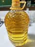 多力经典芥花油5L 低芥酸菜籽油 非转基因压榨食用油 实拍图