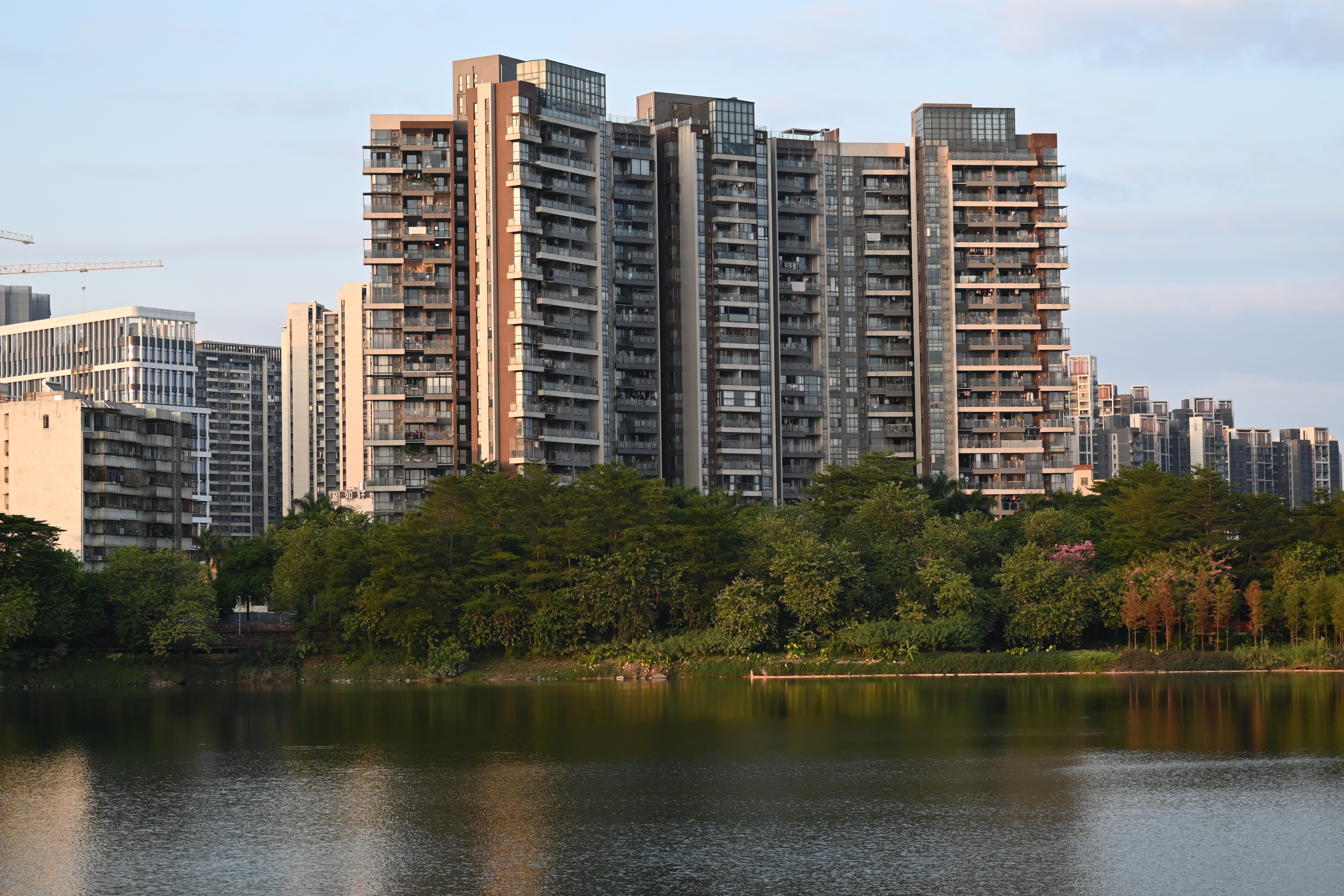 尼康（Nikon）Z30双镜头套装16-50mm+50-250mm 【国家补贴】 微单套机 轻巧便携 自拍模式 实拍图