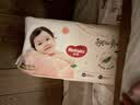 好奇（Huggies）铂金装小桃裤成长裤XL96片(12-17kg)加大号尿不湿【散热口碑王】 实拍图